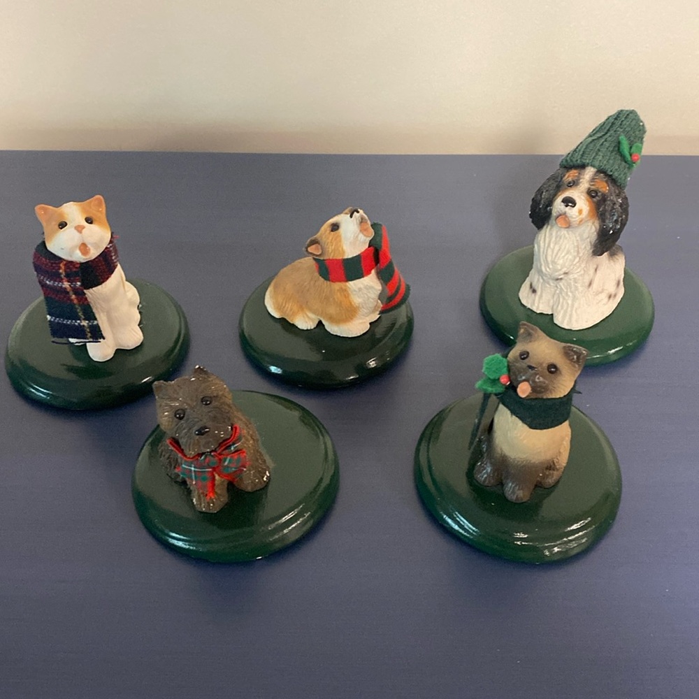 Buyers Choice dogs and cats
